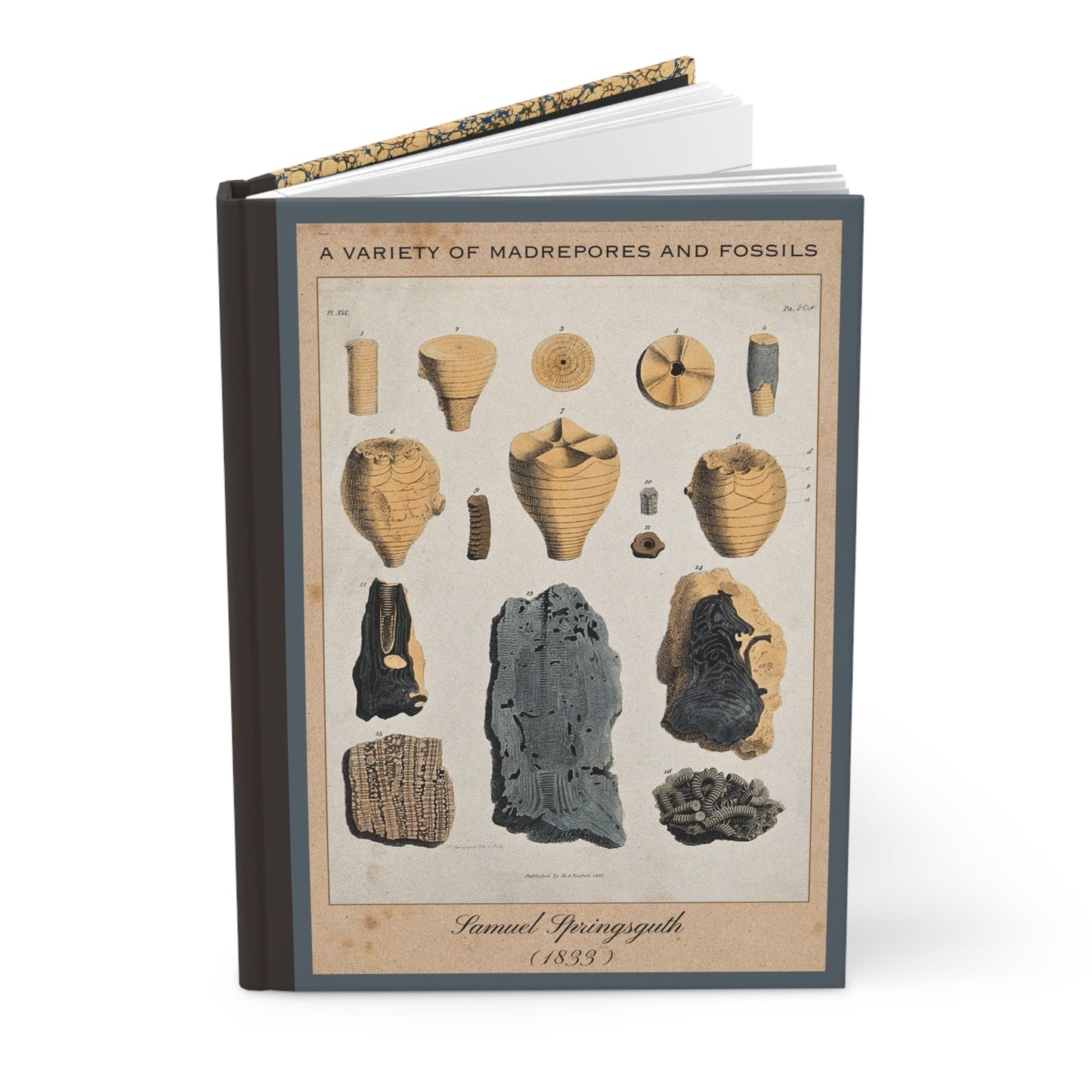 Vintage Fossil Collection Hardcover Notebook No. 006