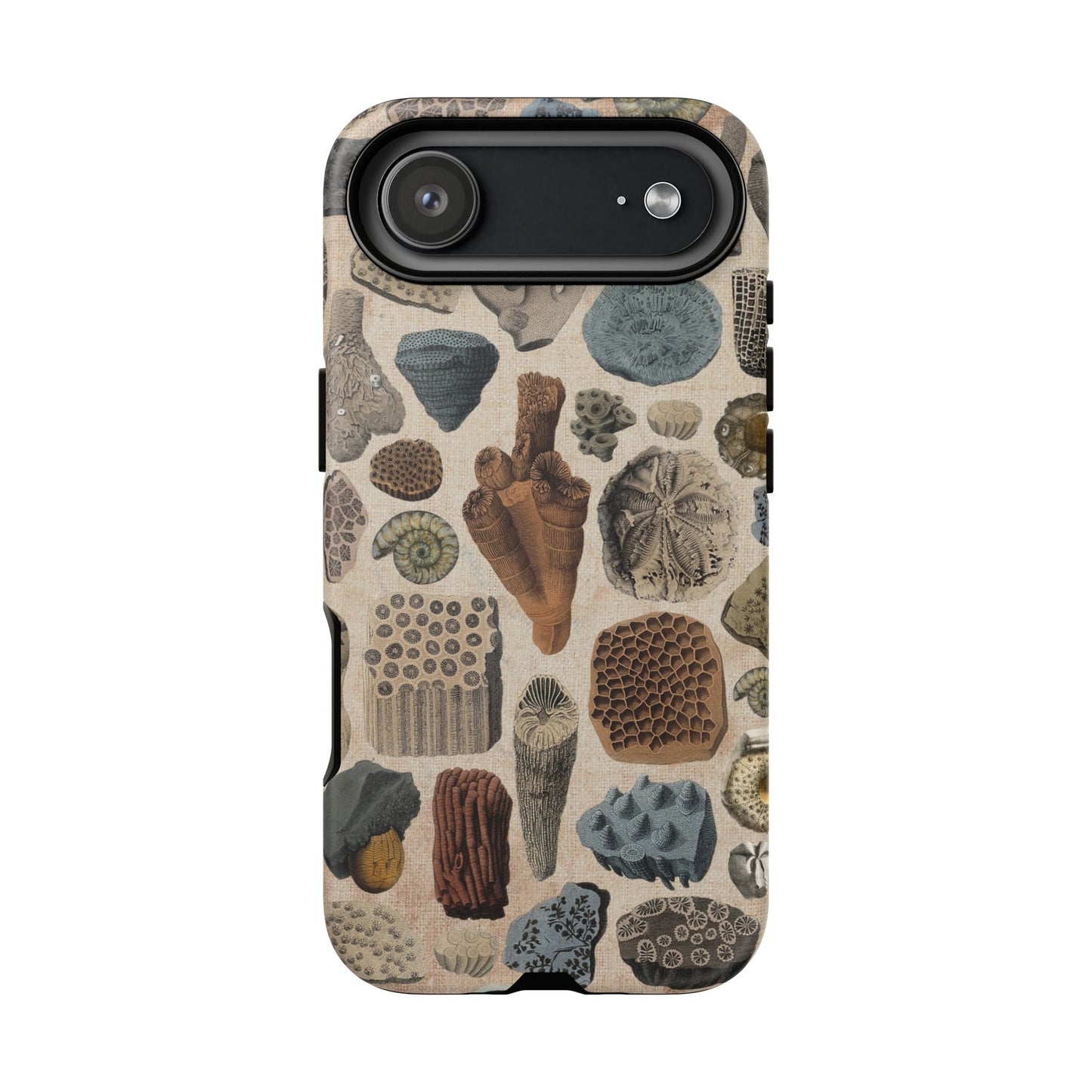 Fossils Antique Illustrations iPhone Case