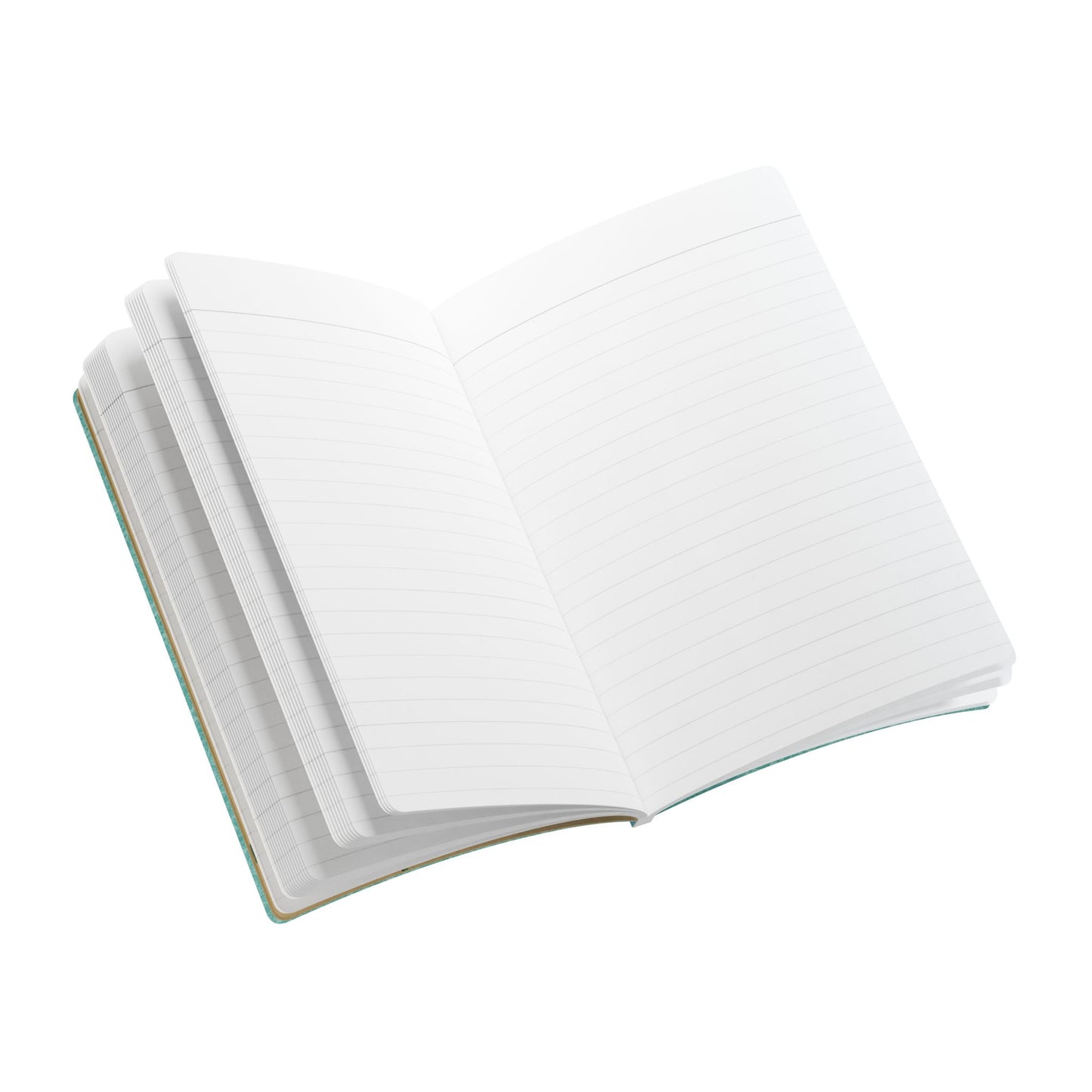 California Vintage Tourist Guide | Softcover Journal with Inside Illustrations