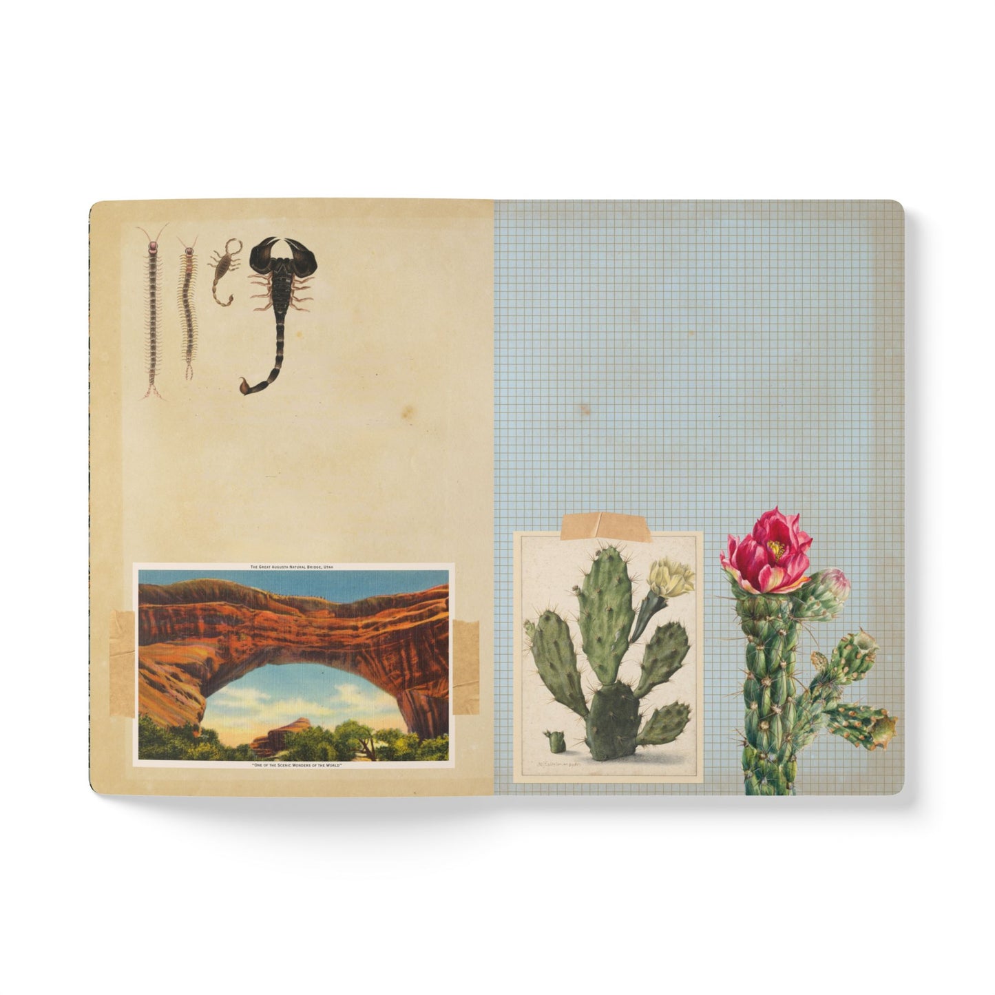 High Desert Vintage Field Notes | Softcover Journal with Inside Illustrations