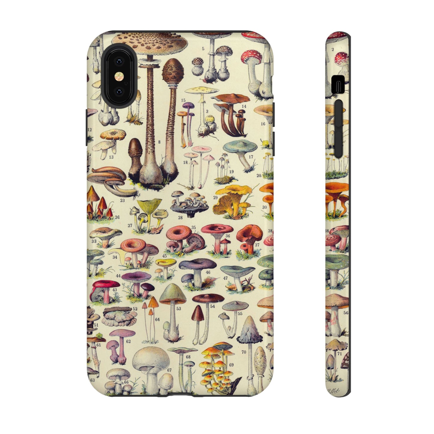 Antique Forager Fungi iPhone Case