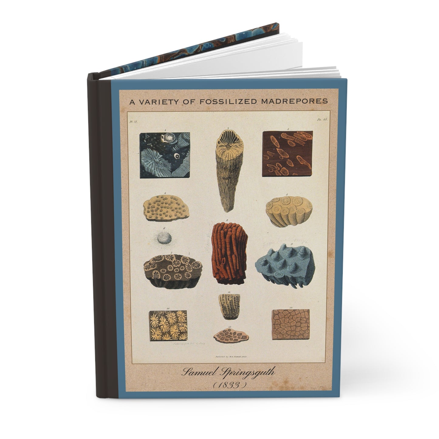 Vintage Fossil Collection Hardcover Notebook No. 005