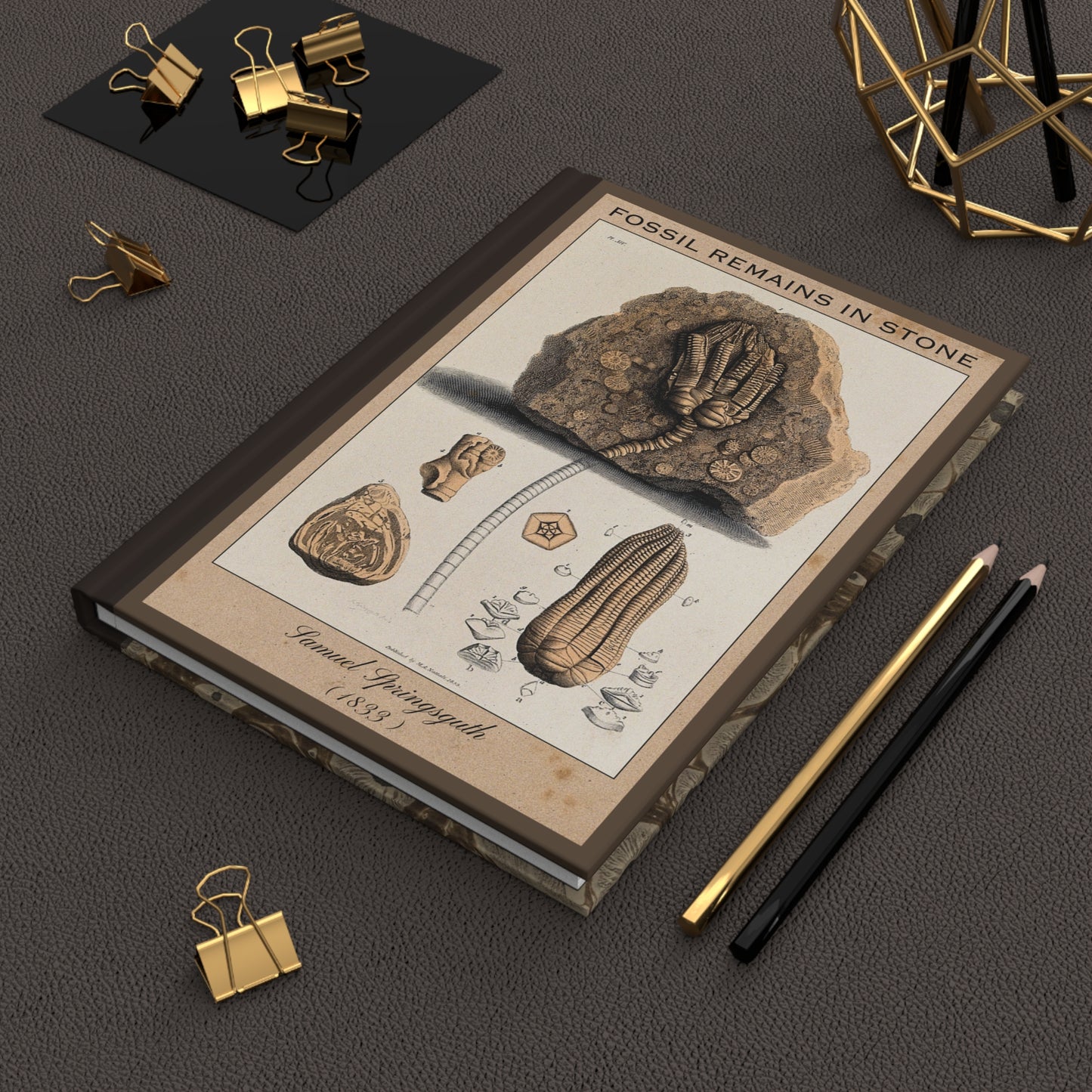 Vintage Fossil Collection Hardcover Notebook No. 009