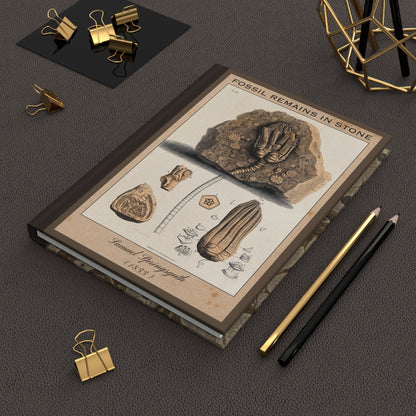 Vintage Fossil Collection Hardcover Notebook No. 009