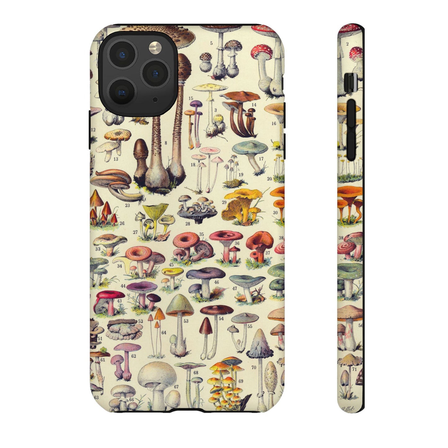 Antique Forager Fungi iPhone Case