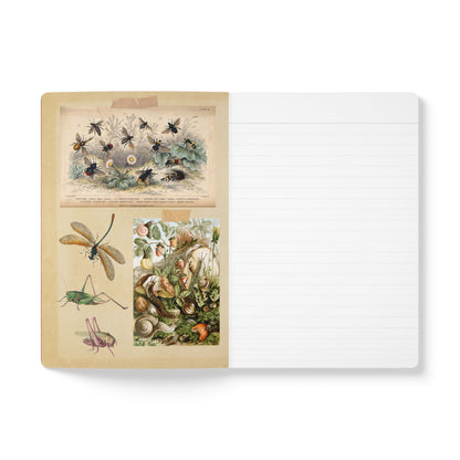 Bee & Thistle Vintage Field Notes | Softcover Journal with Inside Illustrations