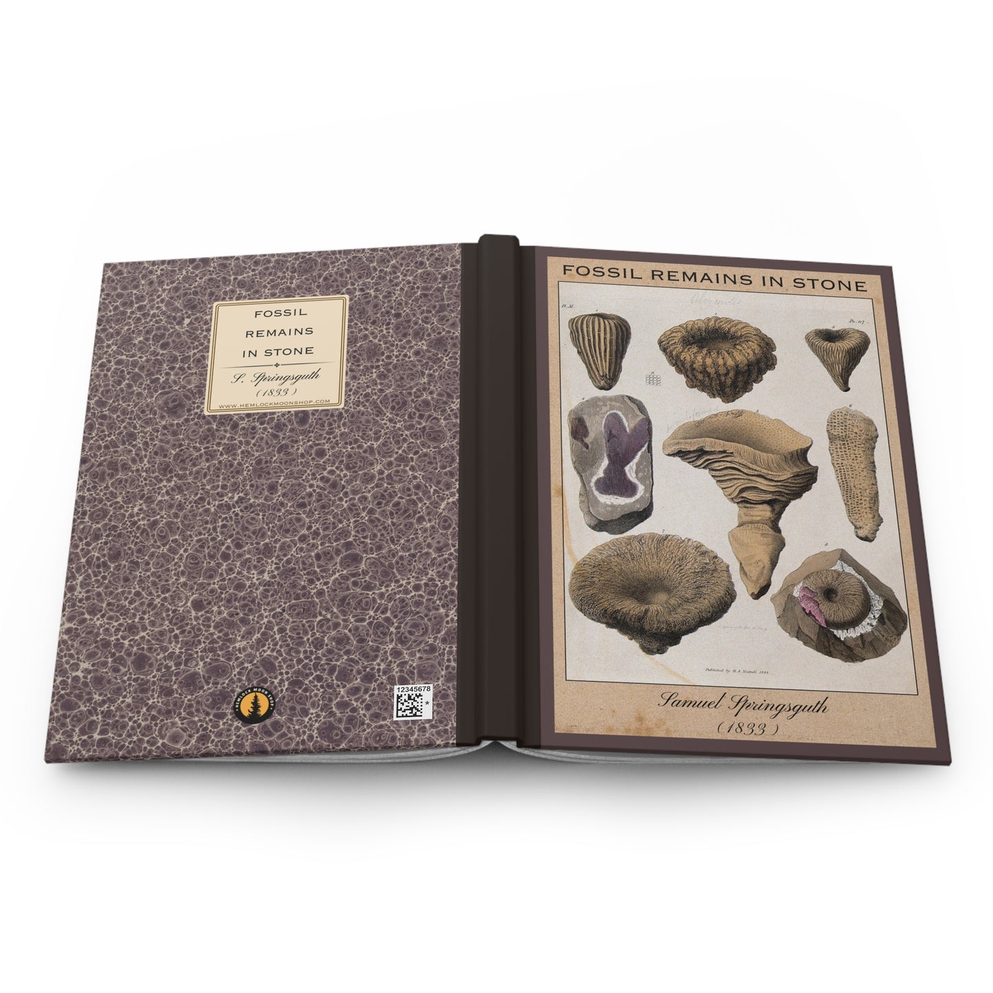 Vintage Fossil Collection Hardcover Notebook No. 010