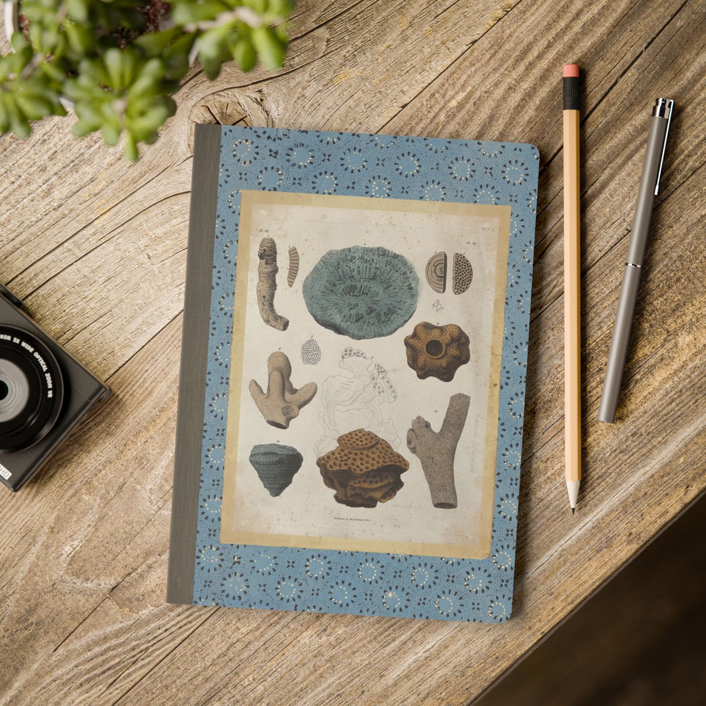 Fossils Vintage Blue Softcover Notebook