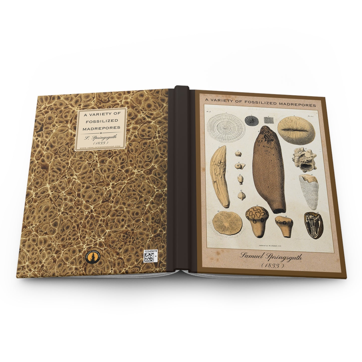 Vintage Fossil Collection Hardcover Notebook No. 004