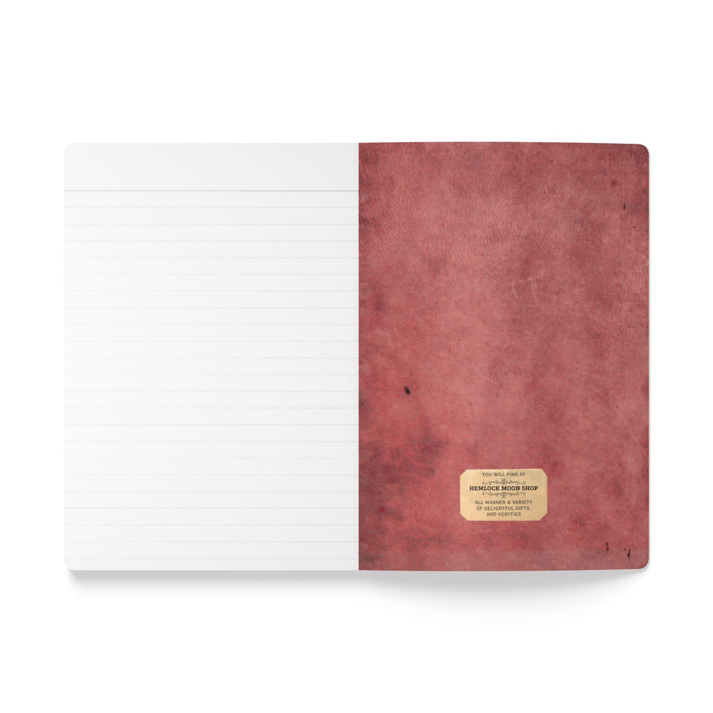 Bee & Thistle Vintage Field Notes | Softcover Journal with Inside Illustrations