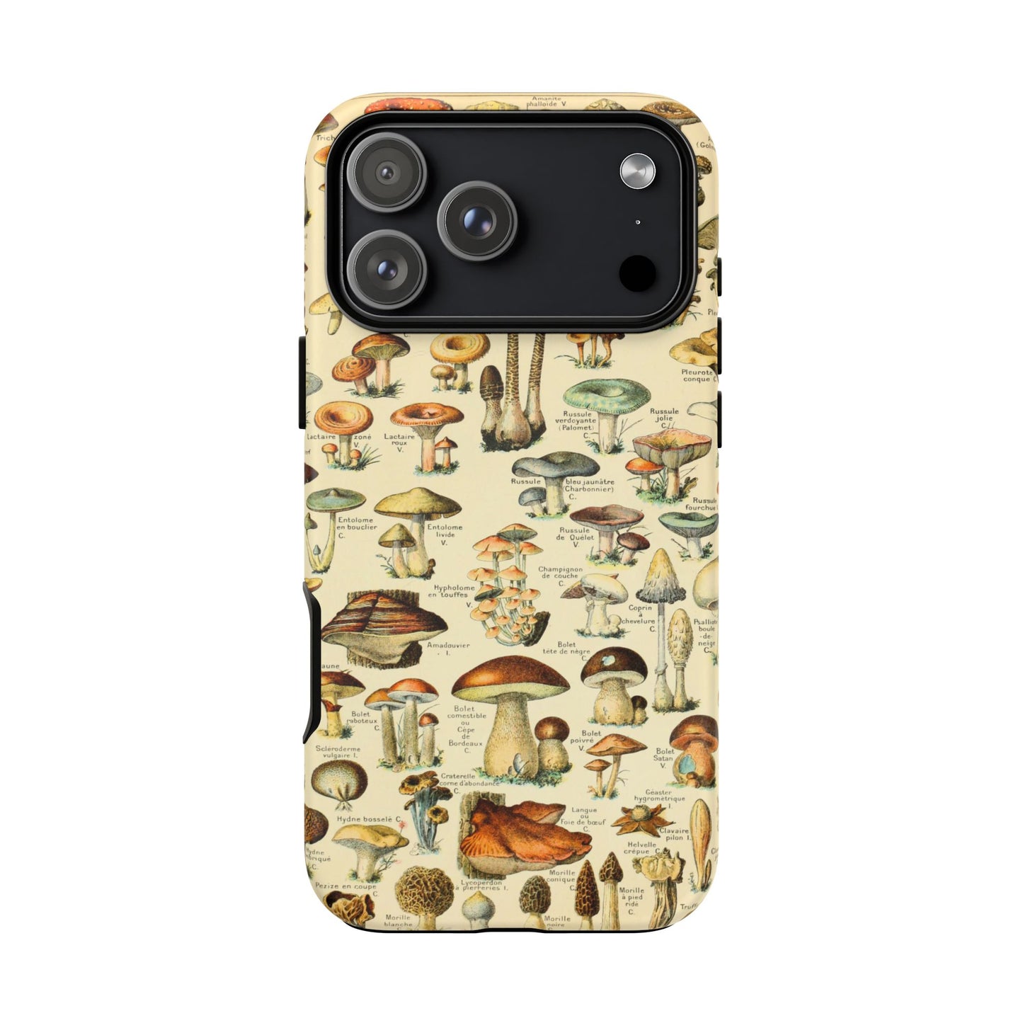 Mushrooms Vintage Field Guide iPhone Case