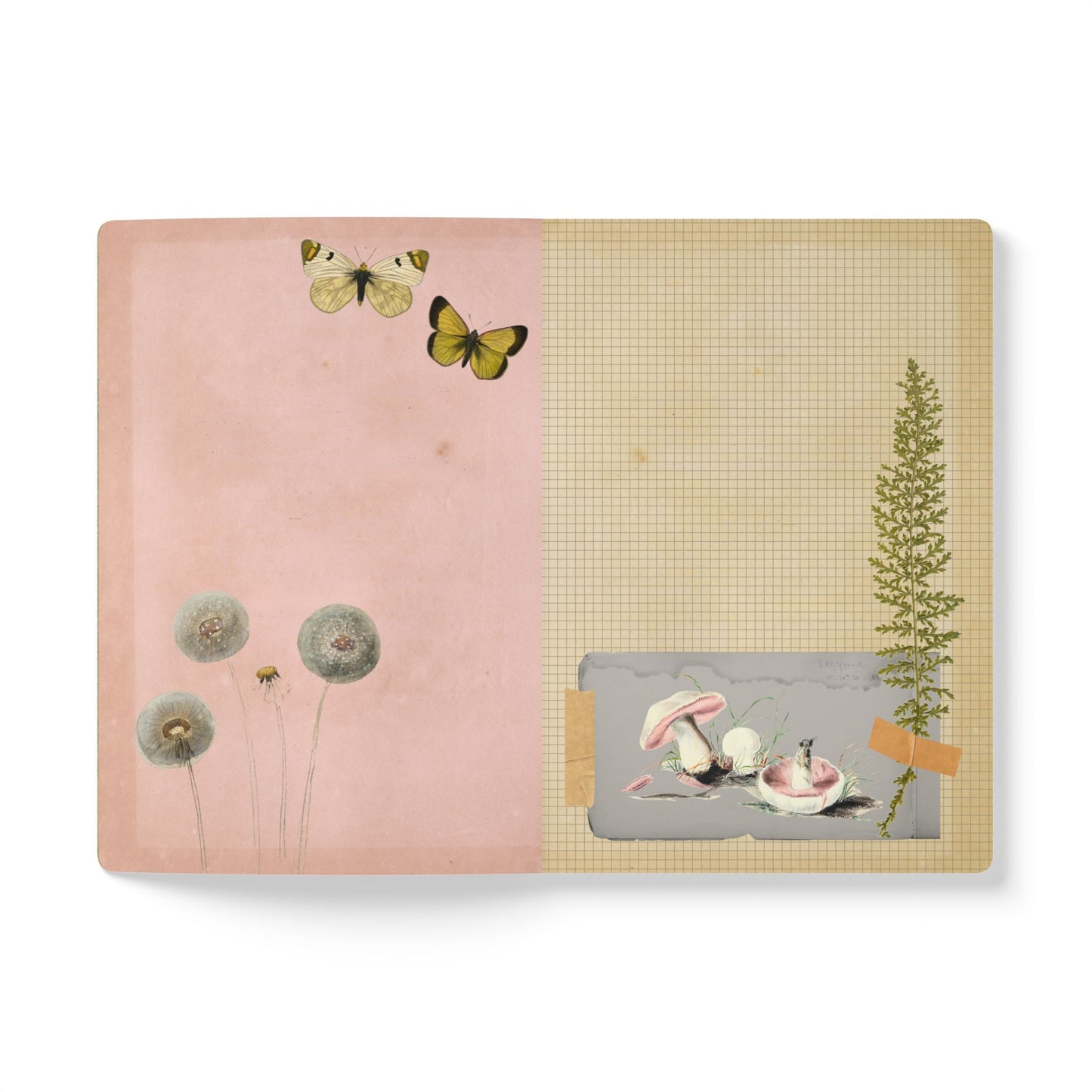 Summer Meadow Vintage Field Notes | Softcover Journal with Inside Illustrations