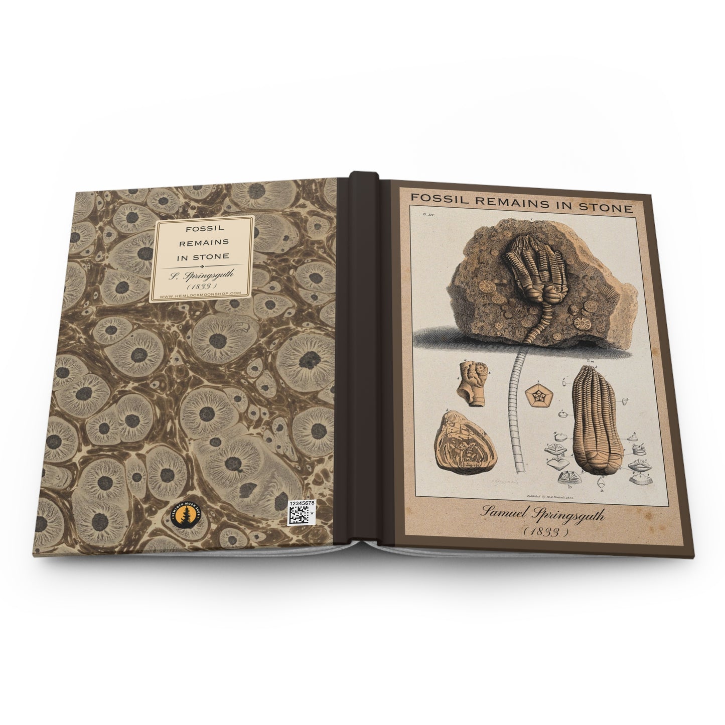 Vintage Fossil Collection Hardcover Notebook No. 009