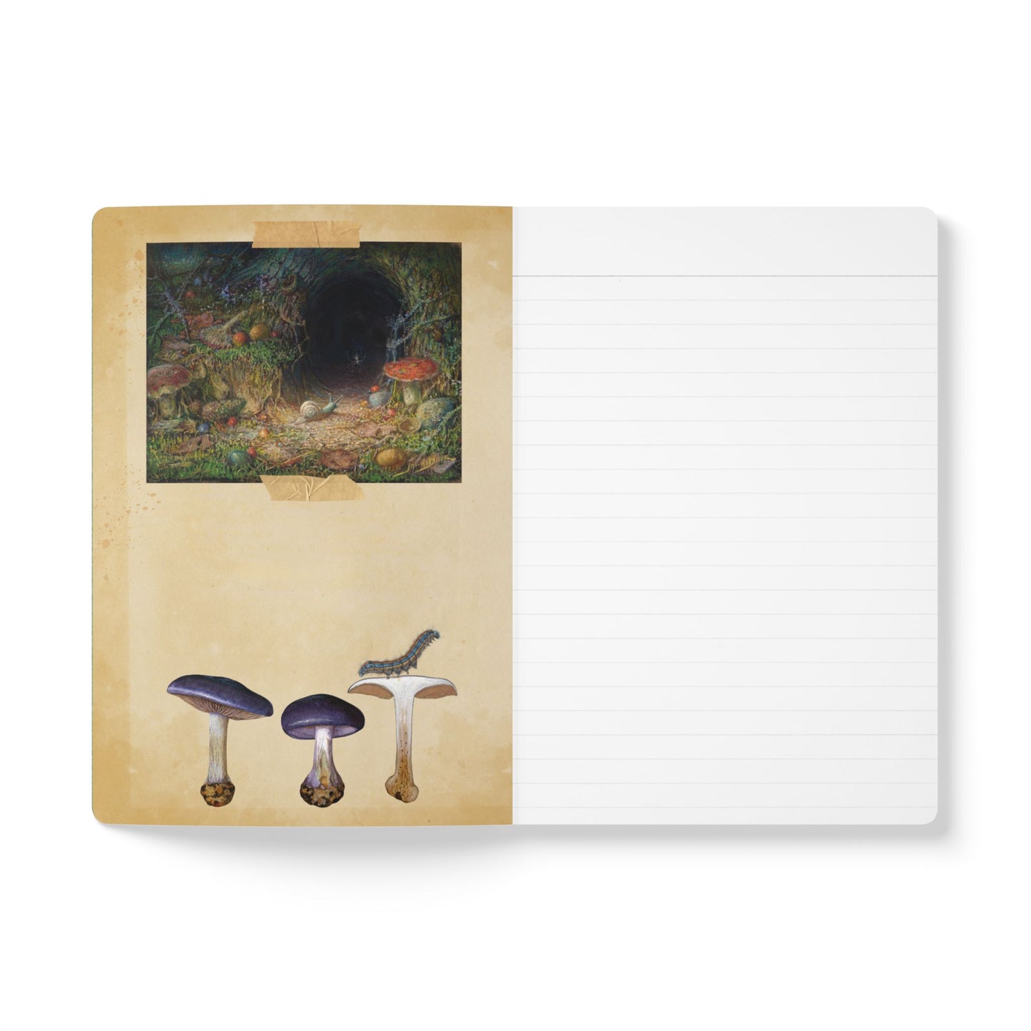 Forager Vintage Field Notes | Softcover Journal with Inside Illustrations