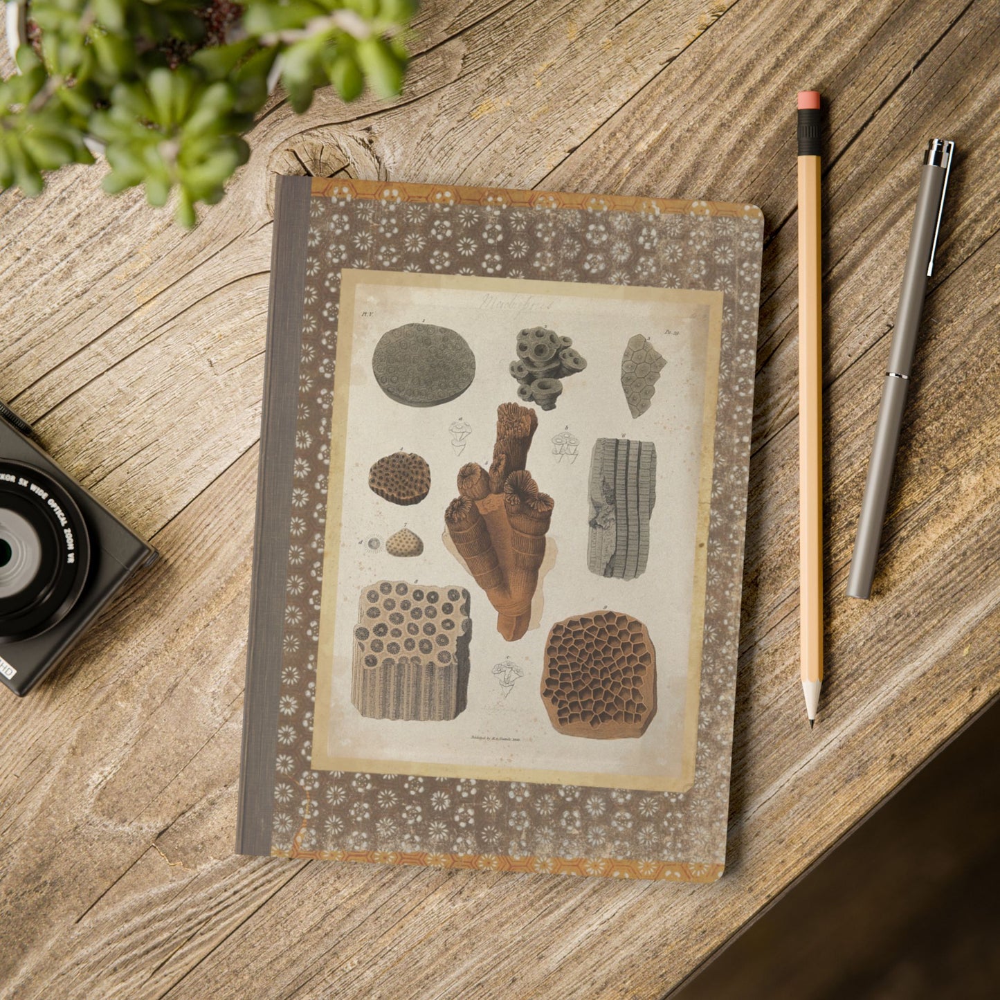 Fossils Vintage Brown Softcover Pocket Notebook