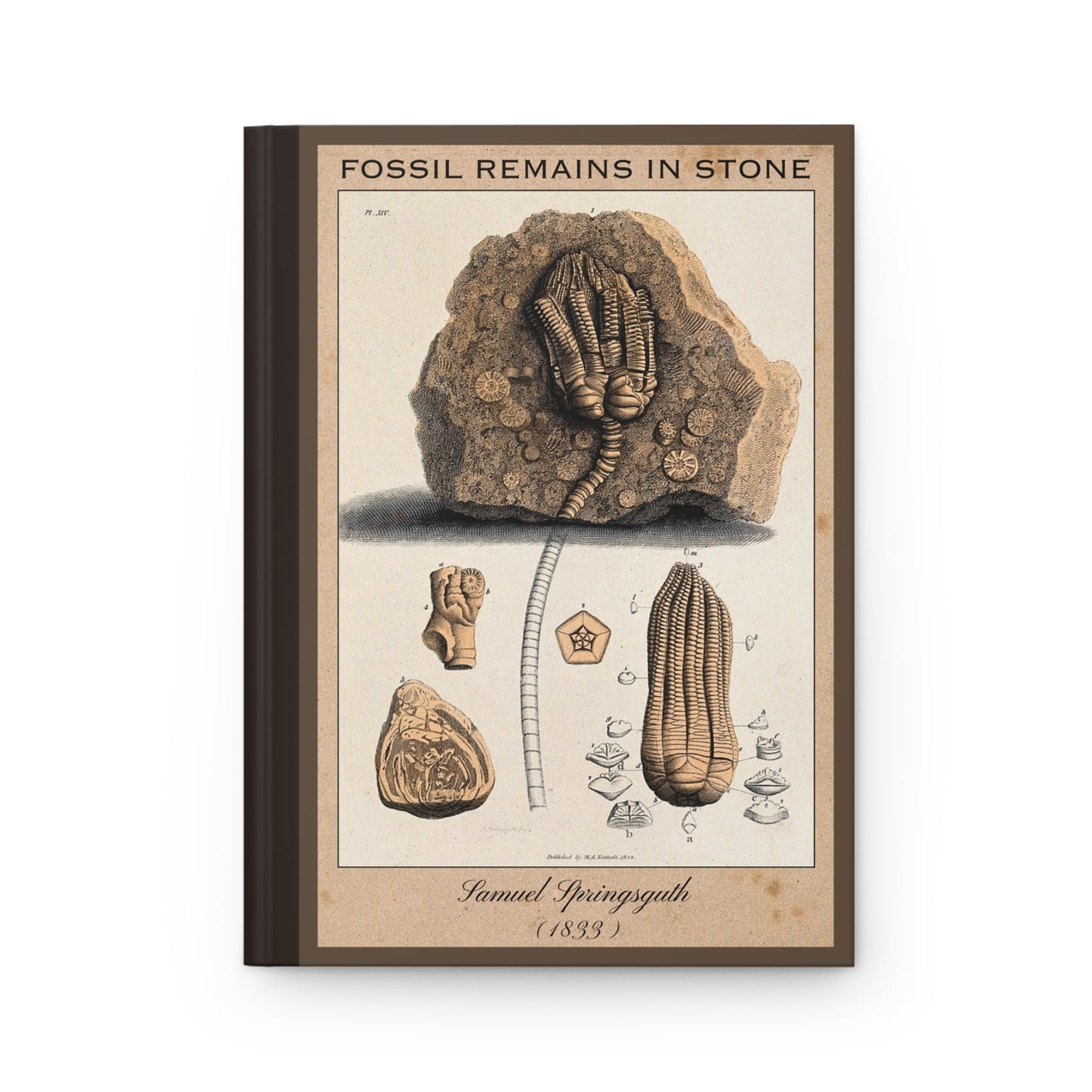 Vintage Fossil Collection Hardcover Notebook No. 009