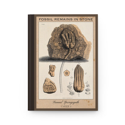 Vintage Fossil Collection Hardcover Notebook No. 009