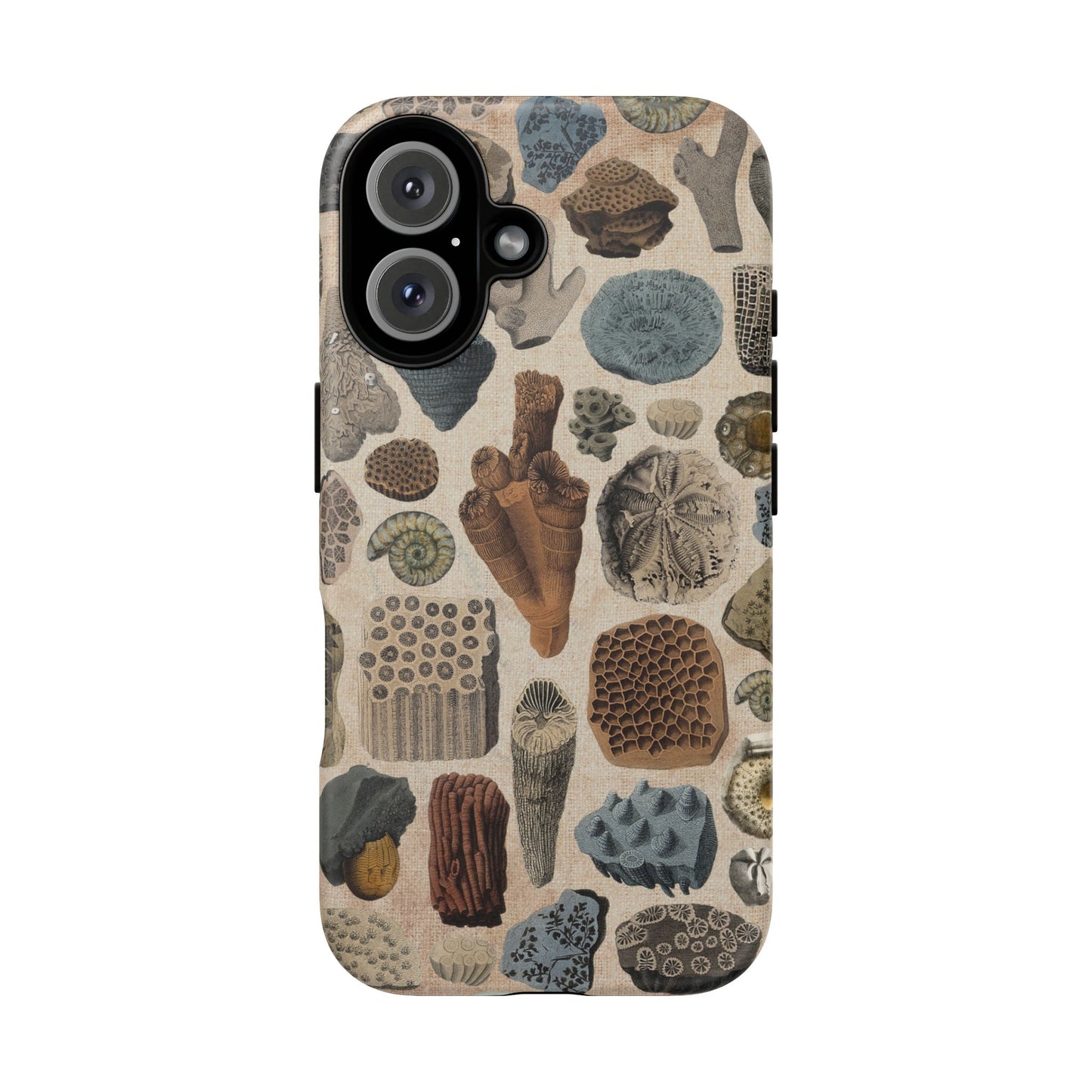 Fossils Antique Illustrations iPhone Case