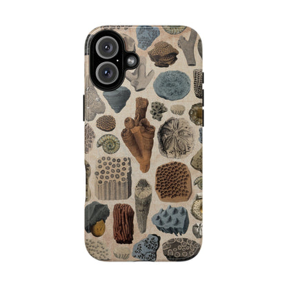 Fossils Antique Illustrations iPhone Case
