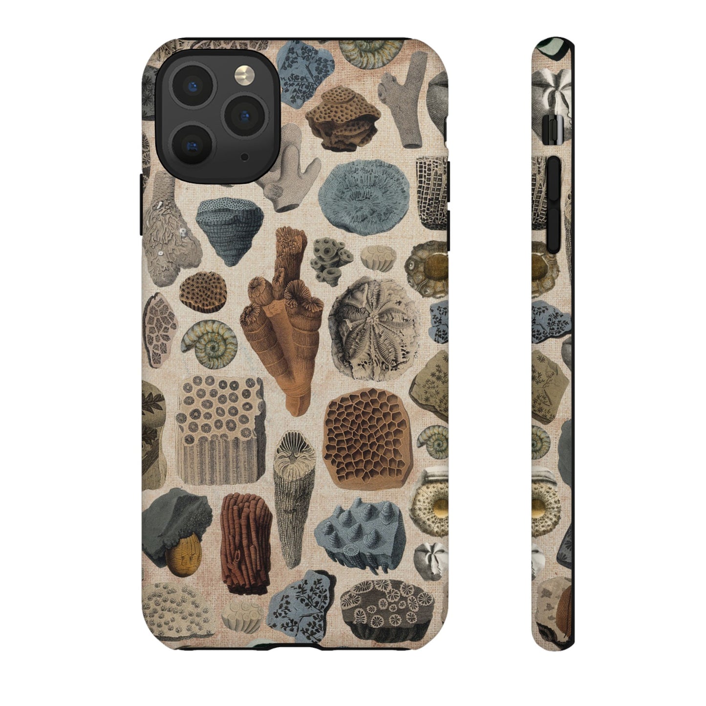 Fossils Antique Illustrations iPhone Case