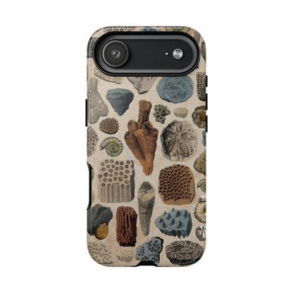 Fossils Antique Illustrations iPhone Case