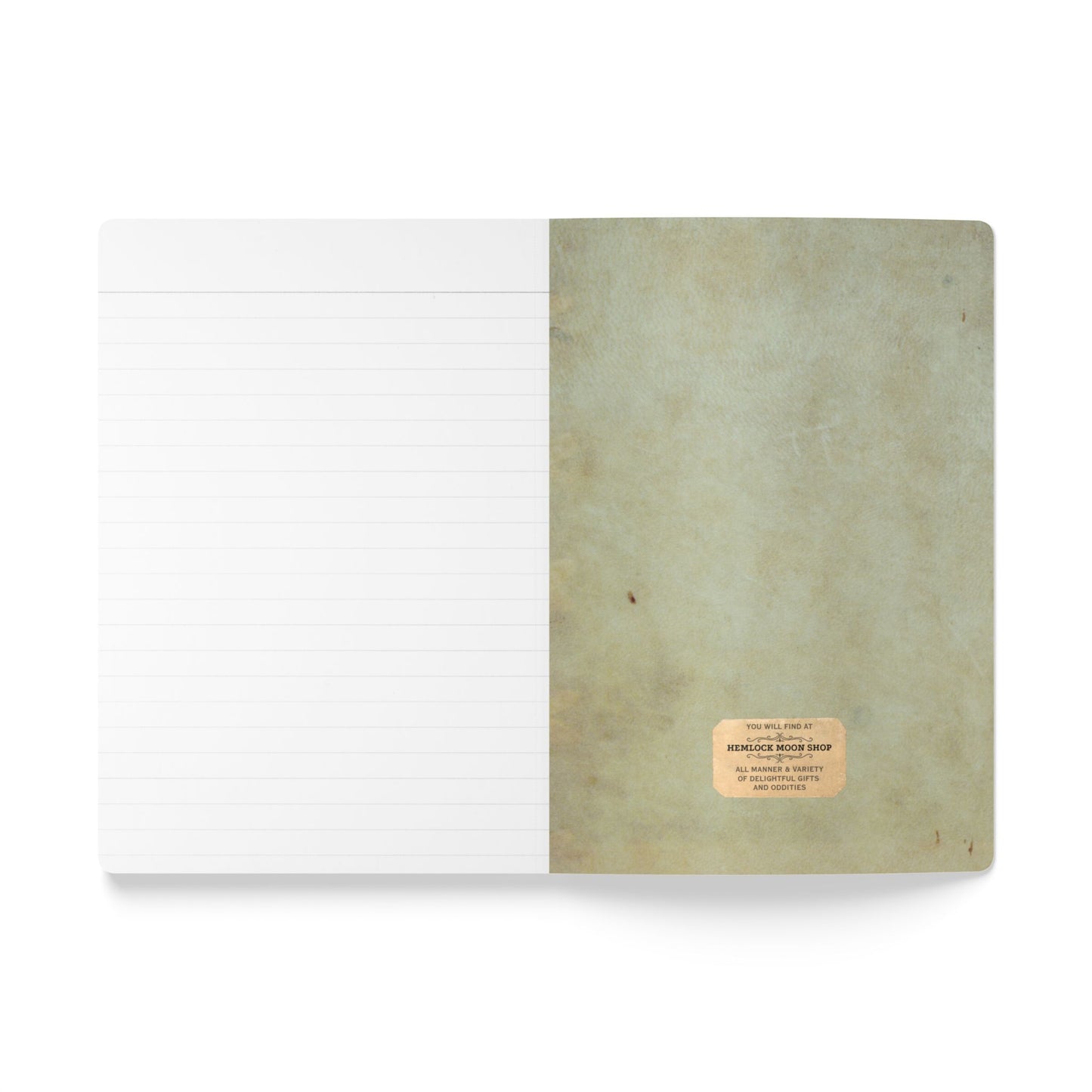 Beachcomber Vintage Field Notes | Softcover Journal with Inside Illustrations