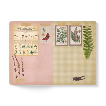 Forager Vintage Field Notes | Softcover Journal with Inside Illustrations