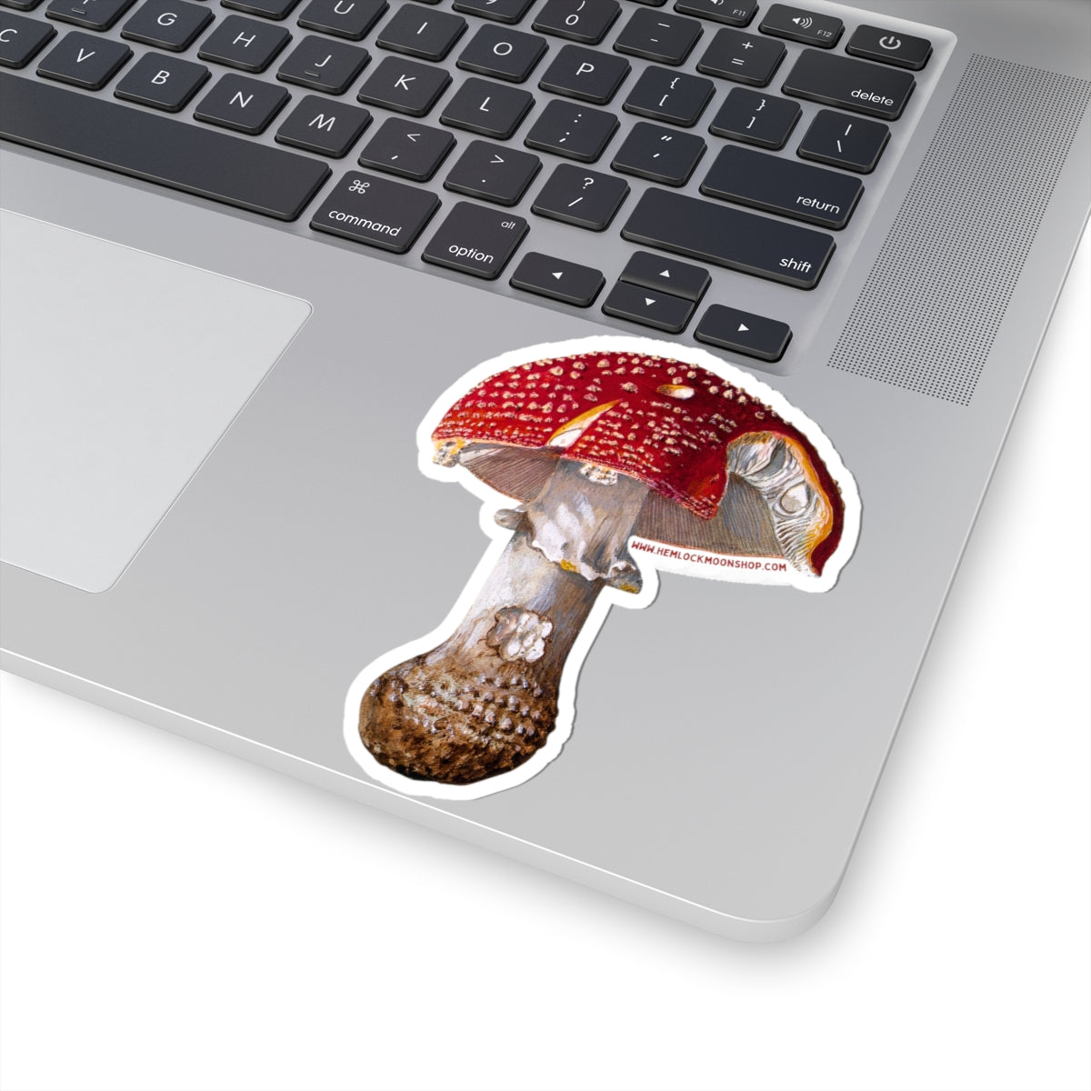 Amanita Muscaria (Fly Agaric Fungus) sticker (4 sizes)