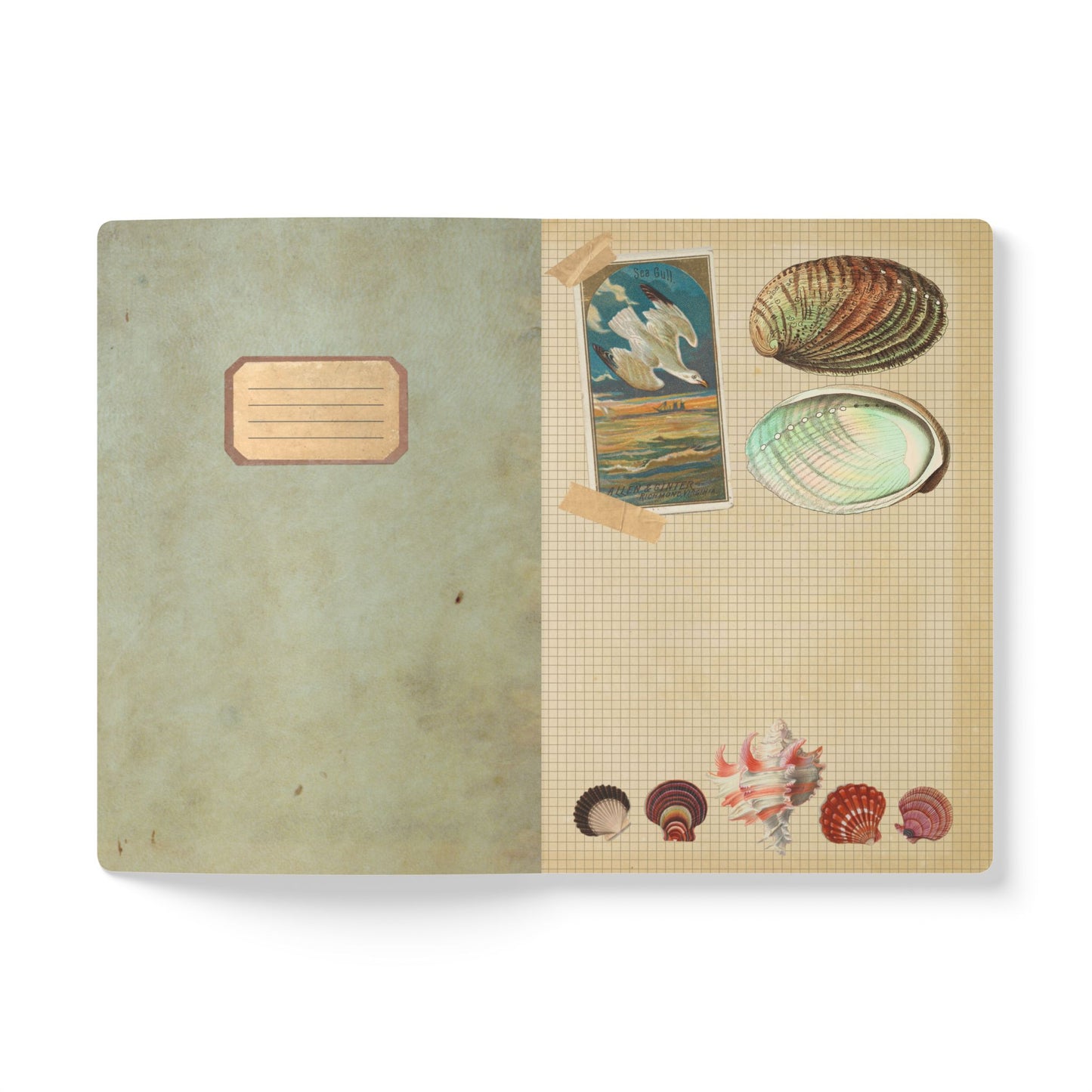 Beachcomber Vintage Field Notes | Softcover Journal with Inside Illustrations