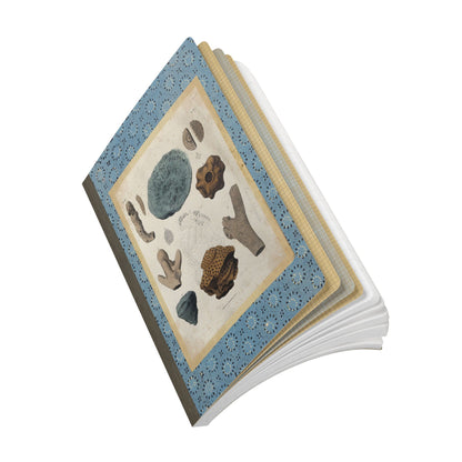 Fossils Vintage Blue Softcover Notebook