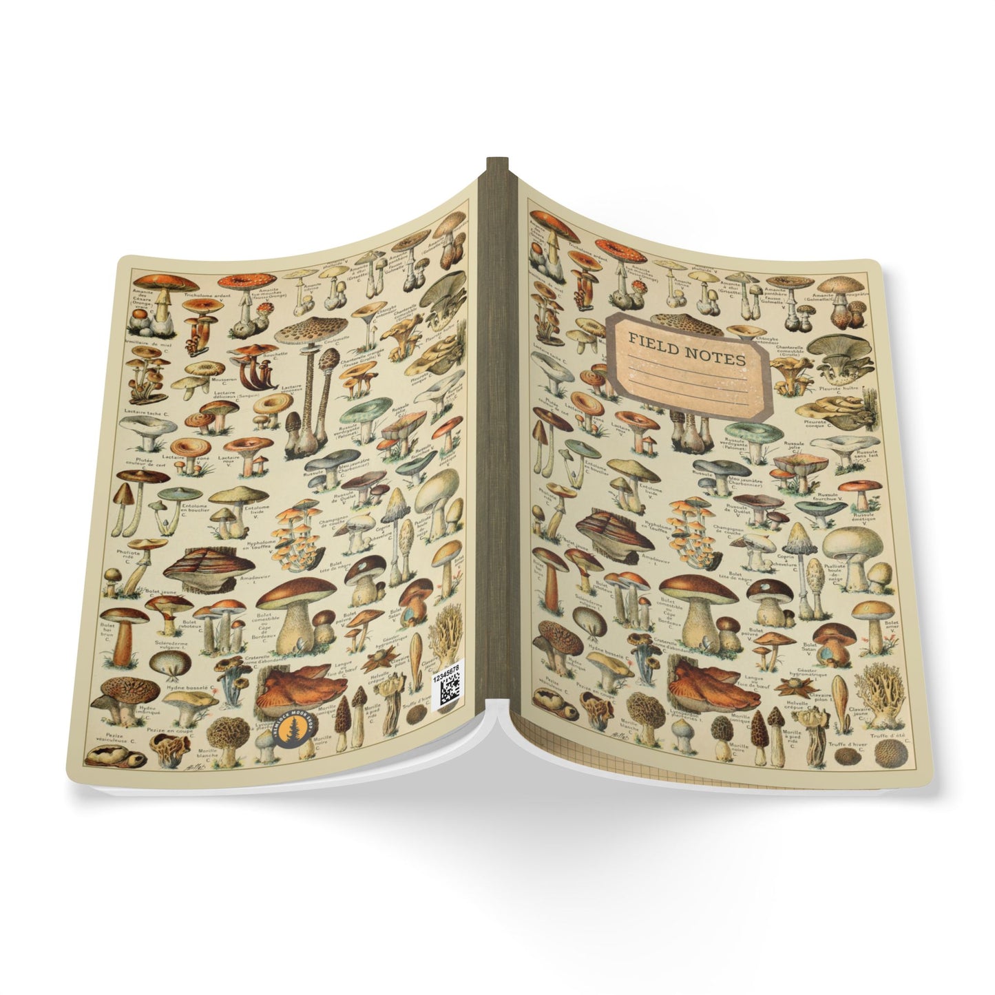 Forager Vintage Field Notes | Softcover Journal with Inside Illustrations
