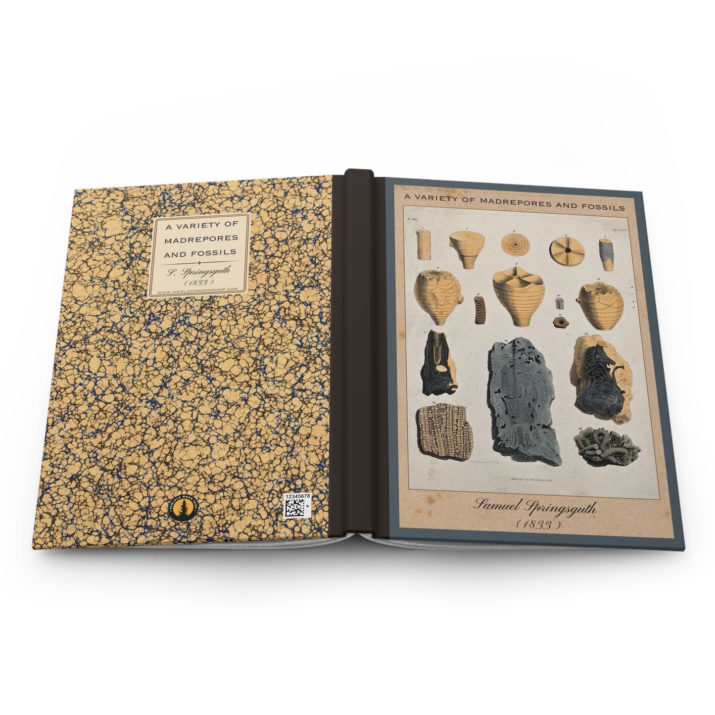 Vintage Fossil Collection Hardcover Notebook No. 006