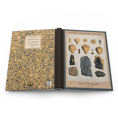 Vintage Fossil Collection Hardcover Notebook No. 006