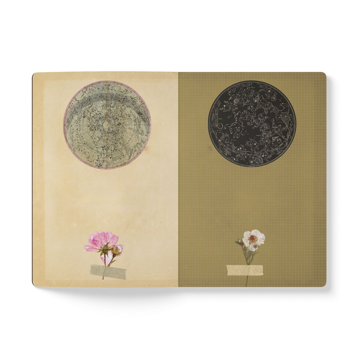 Solar Eclipse Softcover Journal — Vintage Astronomy Illustrated Pocket Book