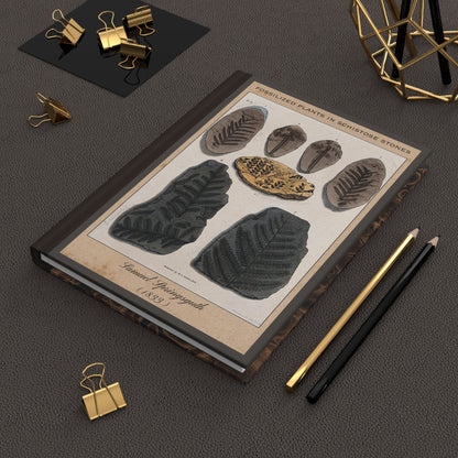 Vintage Fossil Collection Hardcover Notebook No. 012