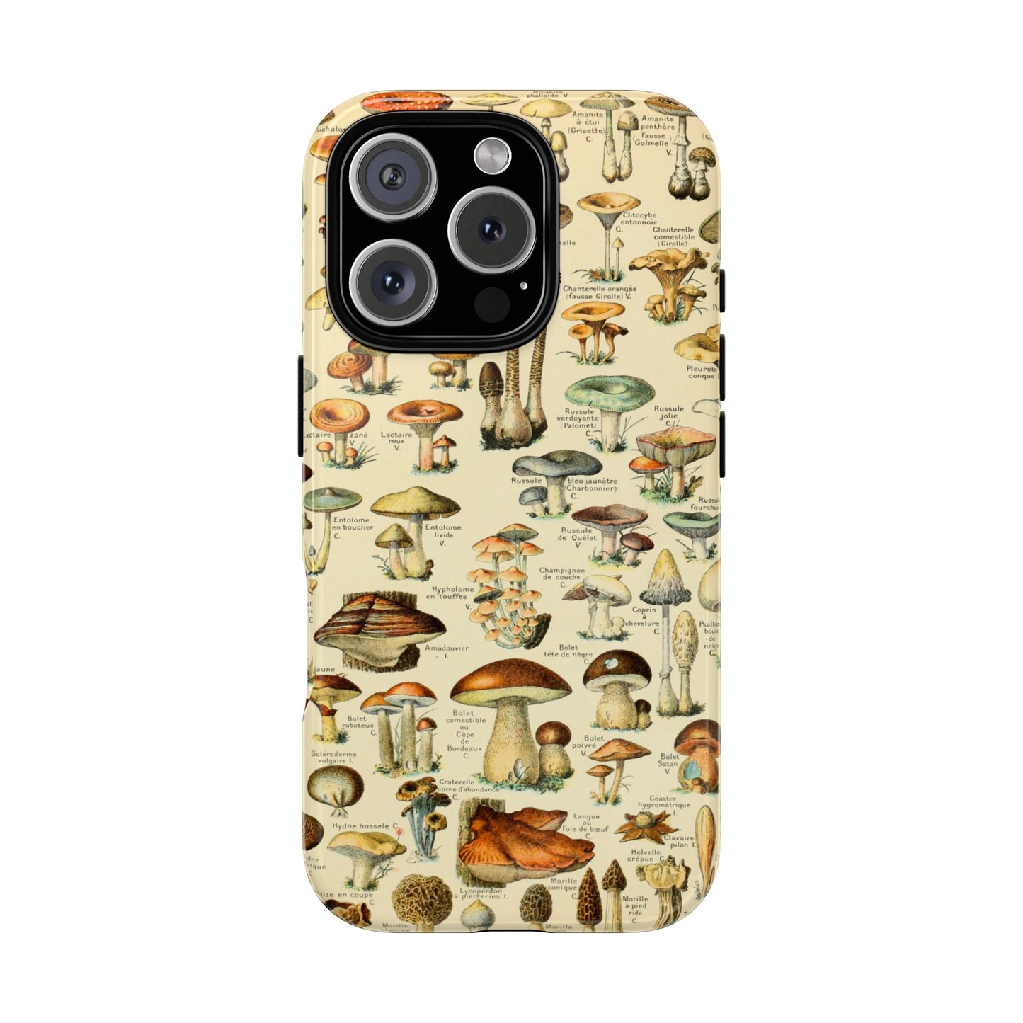 Mushrooms Vintage Field Guide iPhone Case