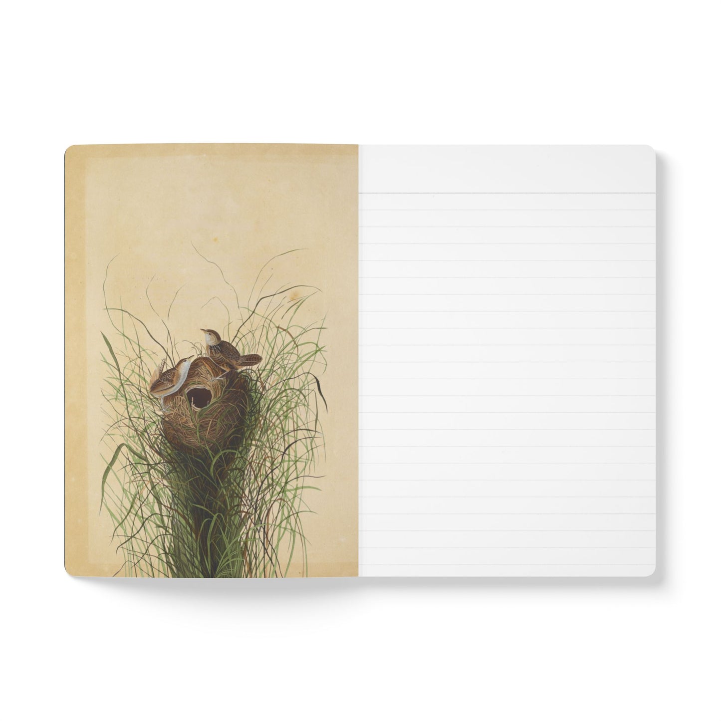 Birdwatcher Vintage Field Notes | Softcover Journal with Inside Illustrations
