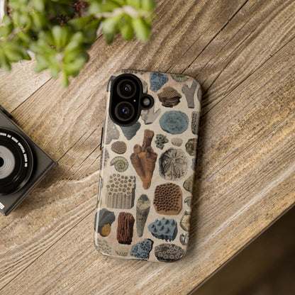 Fossils Antique Illustrations iPhone Case