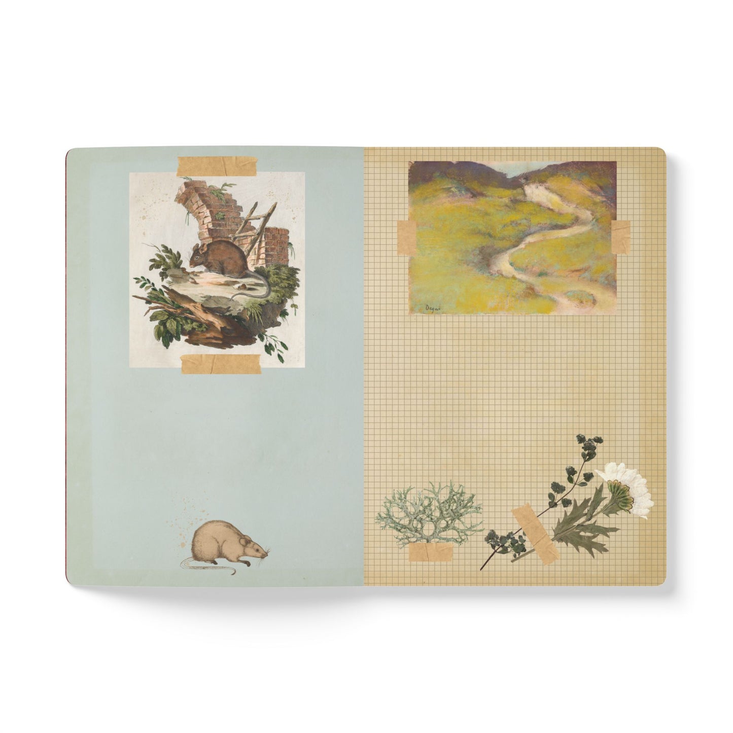 Bee & Thistle Vintage Field Notes | Softcover Journal with Inside Illustrations