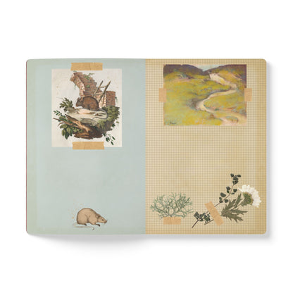 Bee & Thistle Vintage Field Notes | Softcover Journal with Inside Illustrations