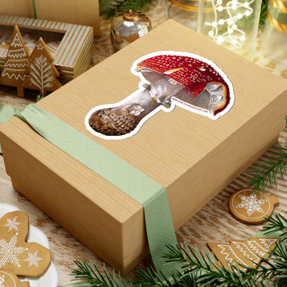 Amanita Muscaria (Fly Agaric Fungus) sticker (4 sizes)