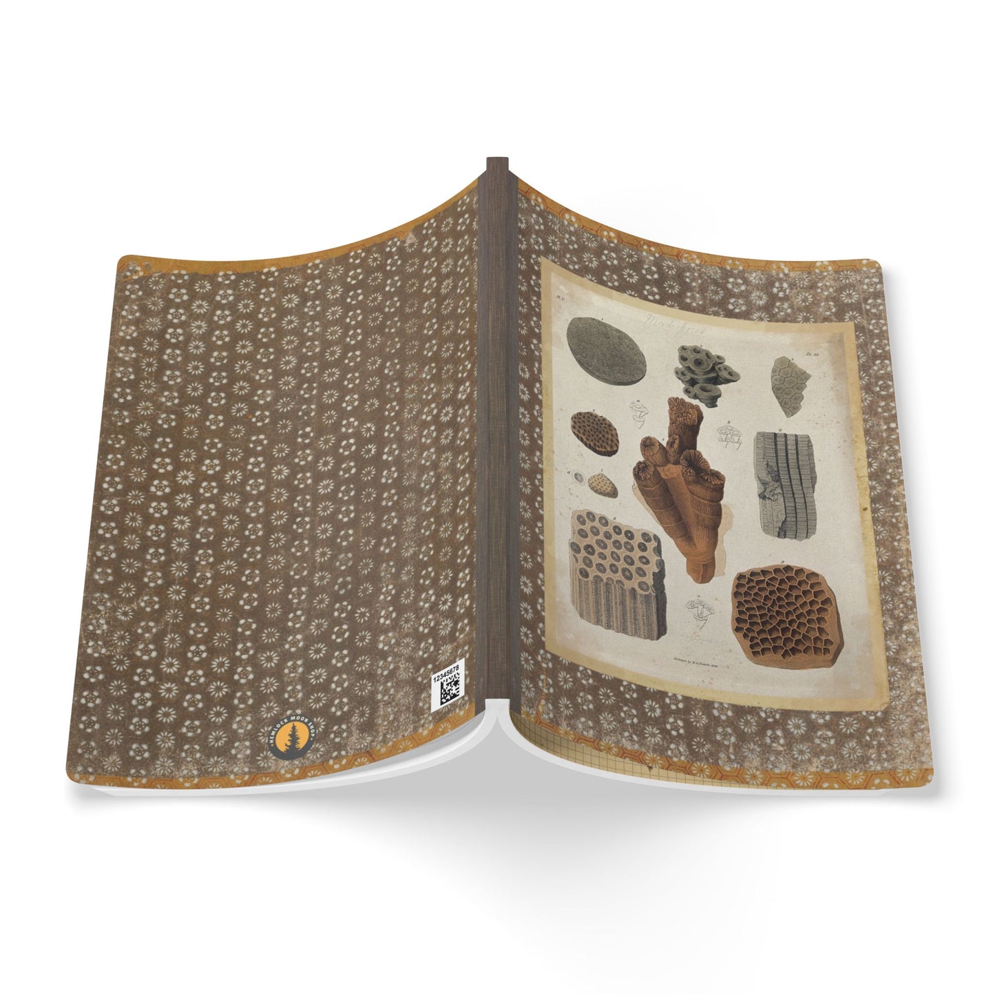Fossils Vintage Brown Softcover Pocket Notebook