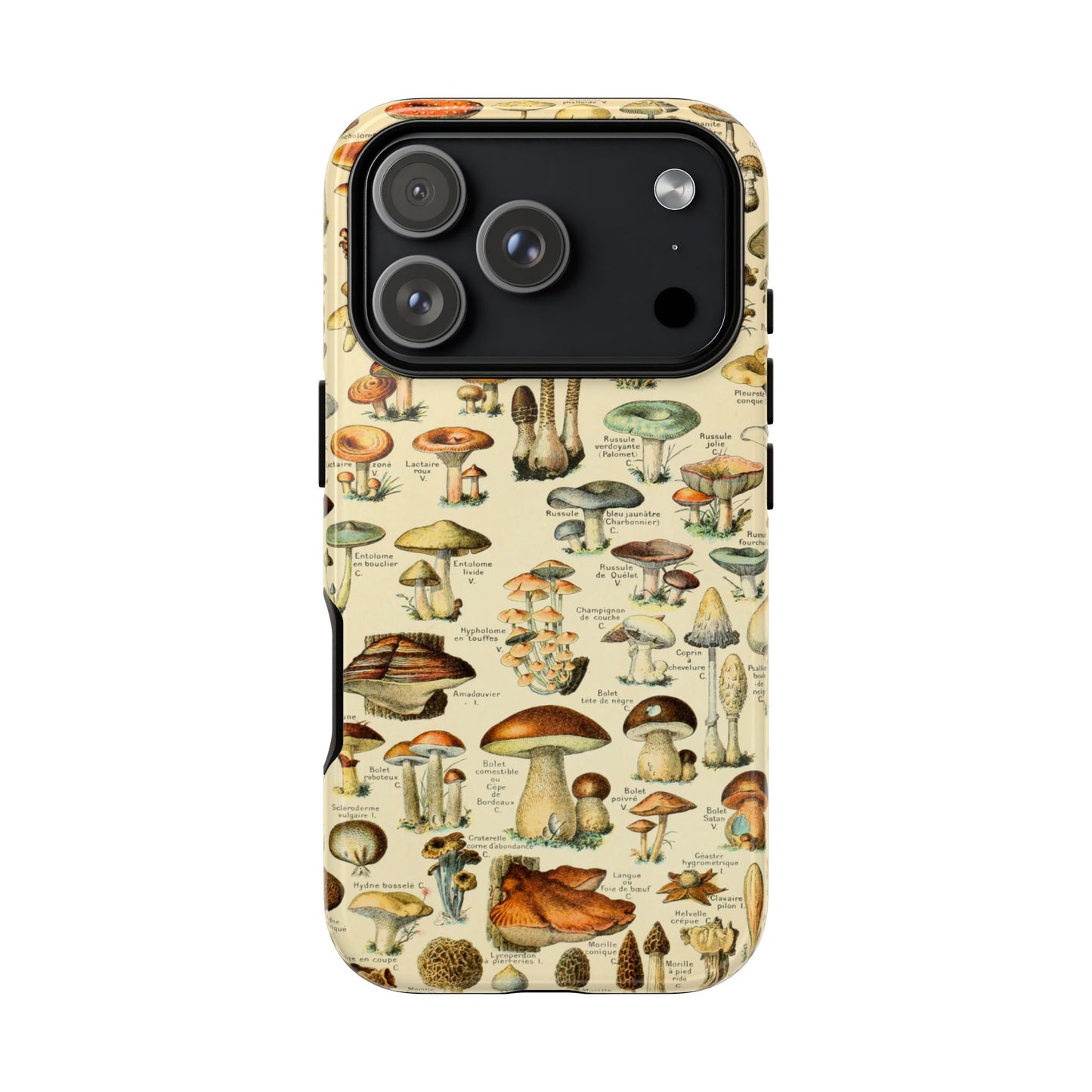 Mushrooms Vintage Field Guide iPhone Case