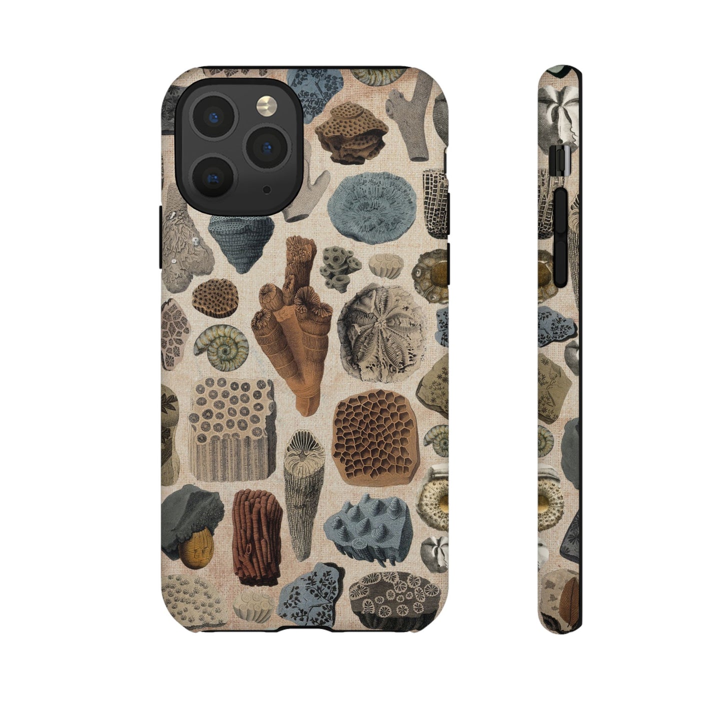 Fossils Antique Illustrations iPhone Case