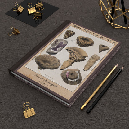 Vintage Fossil Collection Hardcover Notebook No. 010