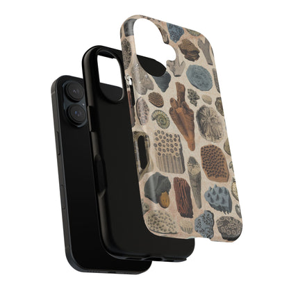Fossils Antique Illustrations iPhone Case