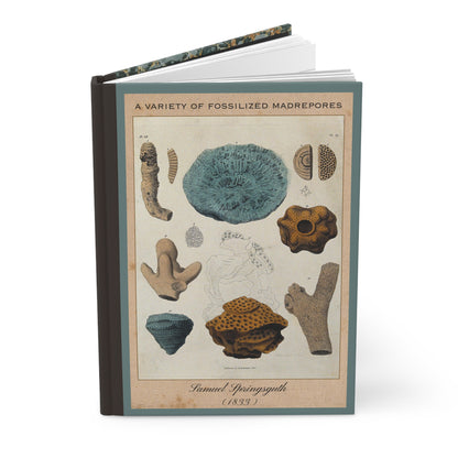 Vintage Fossil Collection Hardcover Notebook No. 002