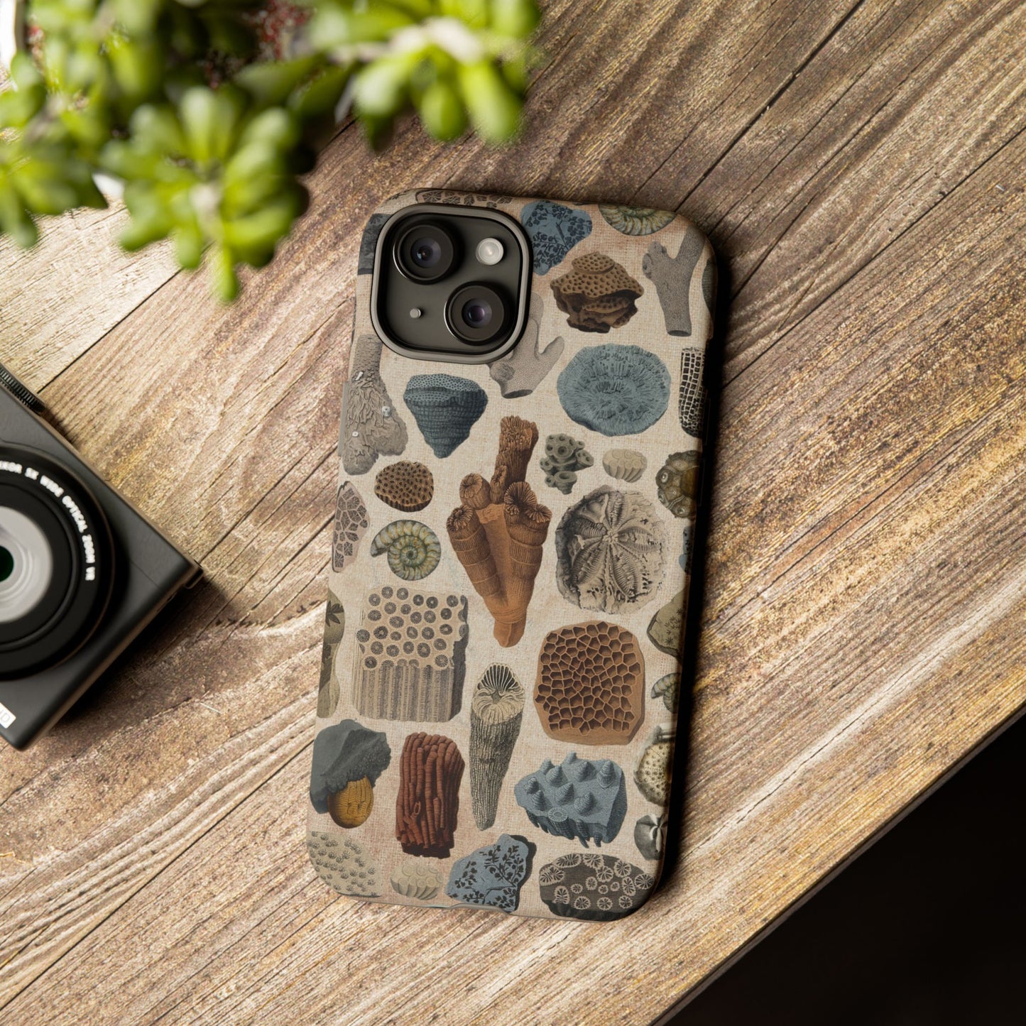 Fossils Antique Illustrations iPhone Case