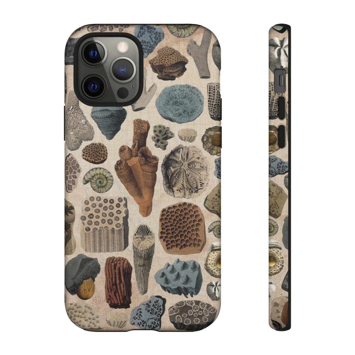 Fossils Antique Illustrations iPhone Case
