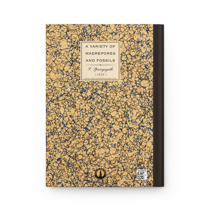 Vintage Fossil Collection Hardcover Notebook No. 006